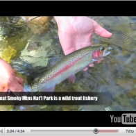 YouTubeImage4-11