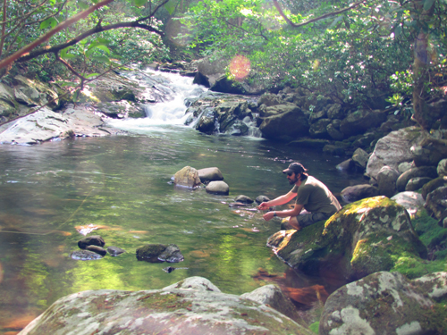 BackcountryAngler
