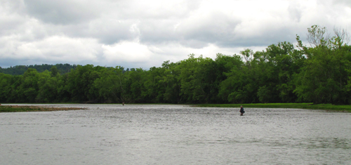 HolstonRiverWaders
