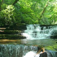 Backcountry Stream in the Smoky Mountains