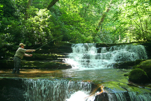 Backcountry Stream in the Smoky Mountains