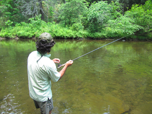 Ian Bassin