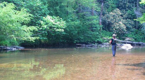 Fly fishing a creek for smallmouth bass