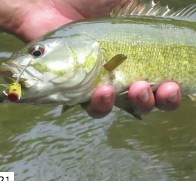 BassWPopper.sm BassWPopper.sm