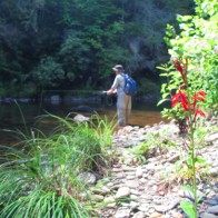 Smallmouth Summer Afternoon in the Smokies