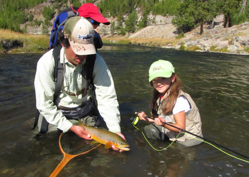 Brown Trout In Yellowstone Park Brown Trout In Yellowstone Park
