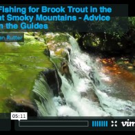 FlyFishingforBrookiesVideo