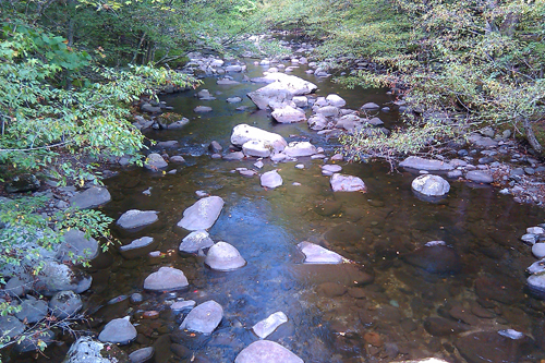 Smokies Stream During Drought Conditions Smokies Stream During Drought Conditions