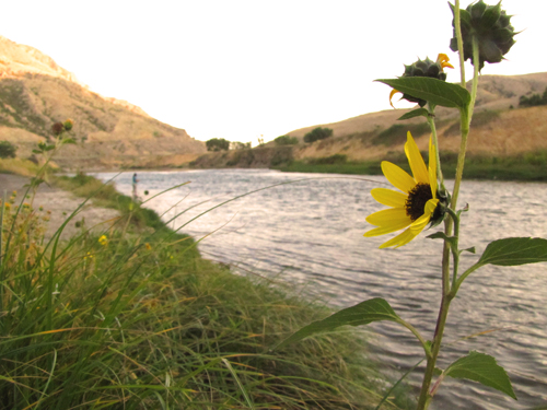 Upper Bighorn River Upper Bighorn River