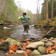 Chasing a brown trout Chasing a brown trout