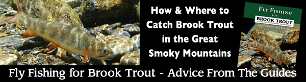 Fly Fishing for Brook Trout in Great Smoky Mountains National Park Fly Fishing for Brook Trout in Great Smoky Mountains National Park