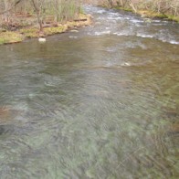 Winter Nymphing in the Smokies